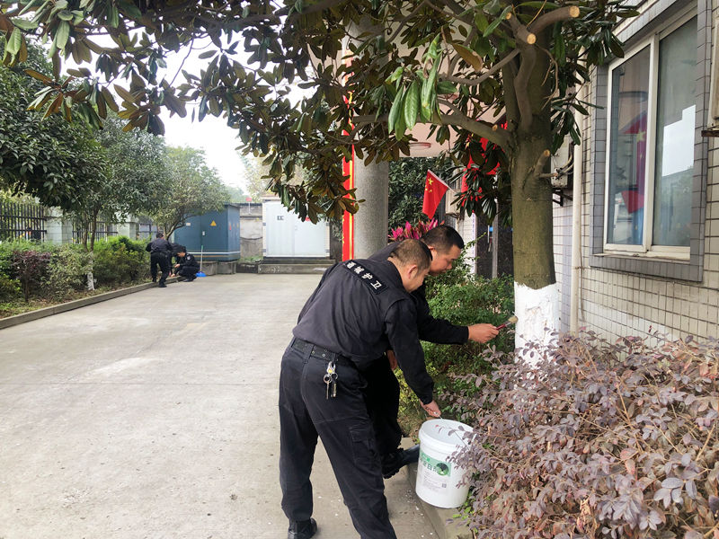 泸县分公司党支部开展 “爱卫行动助防疫 文明过节迎新春”活动(图3) 涂树木防虫剂.jpg