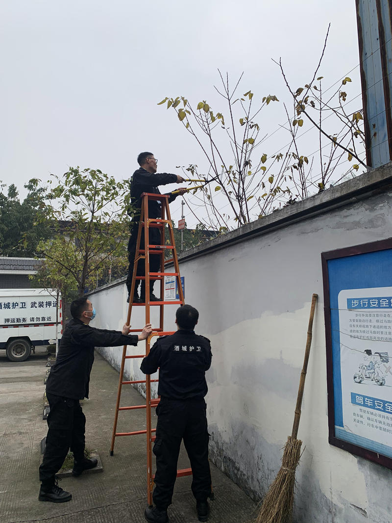 泸县分公司党支部 开展“迎新春”卫生大扫除活动(图2) 修剪树枝.jpg