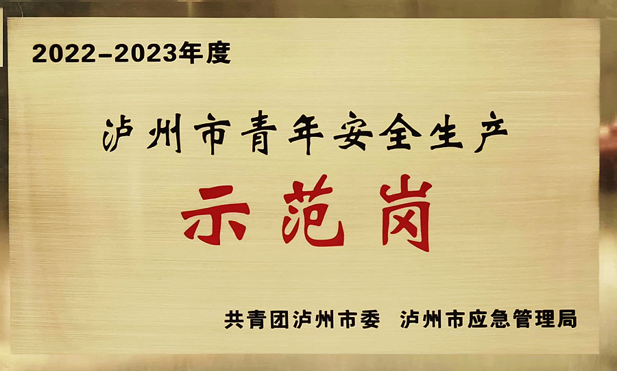 喜报!酒城护卫武装守押分公司 荣获“2022—2023年度泸州市青年安全生产示范岗集体”称号(图2) 奖牌.jpg