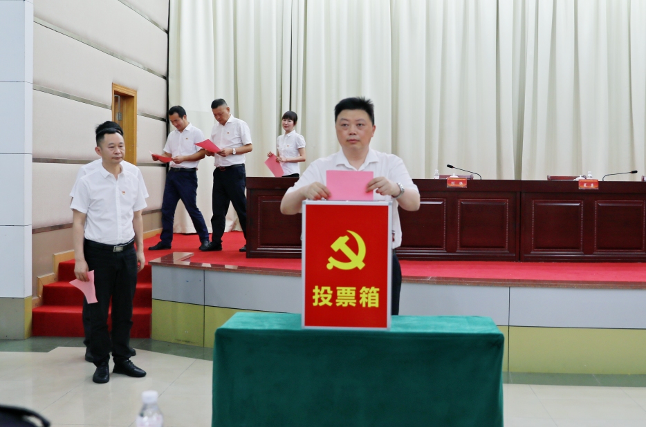 四川融通安防集团党委召开党员大会|部署党建党风廉洁建设工作补选纪委委员(图3) 投票中.jpg
