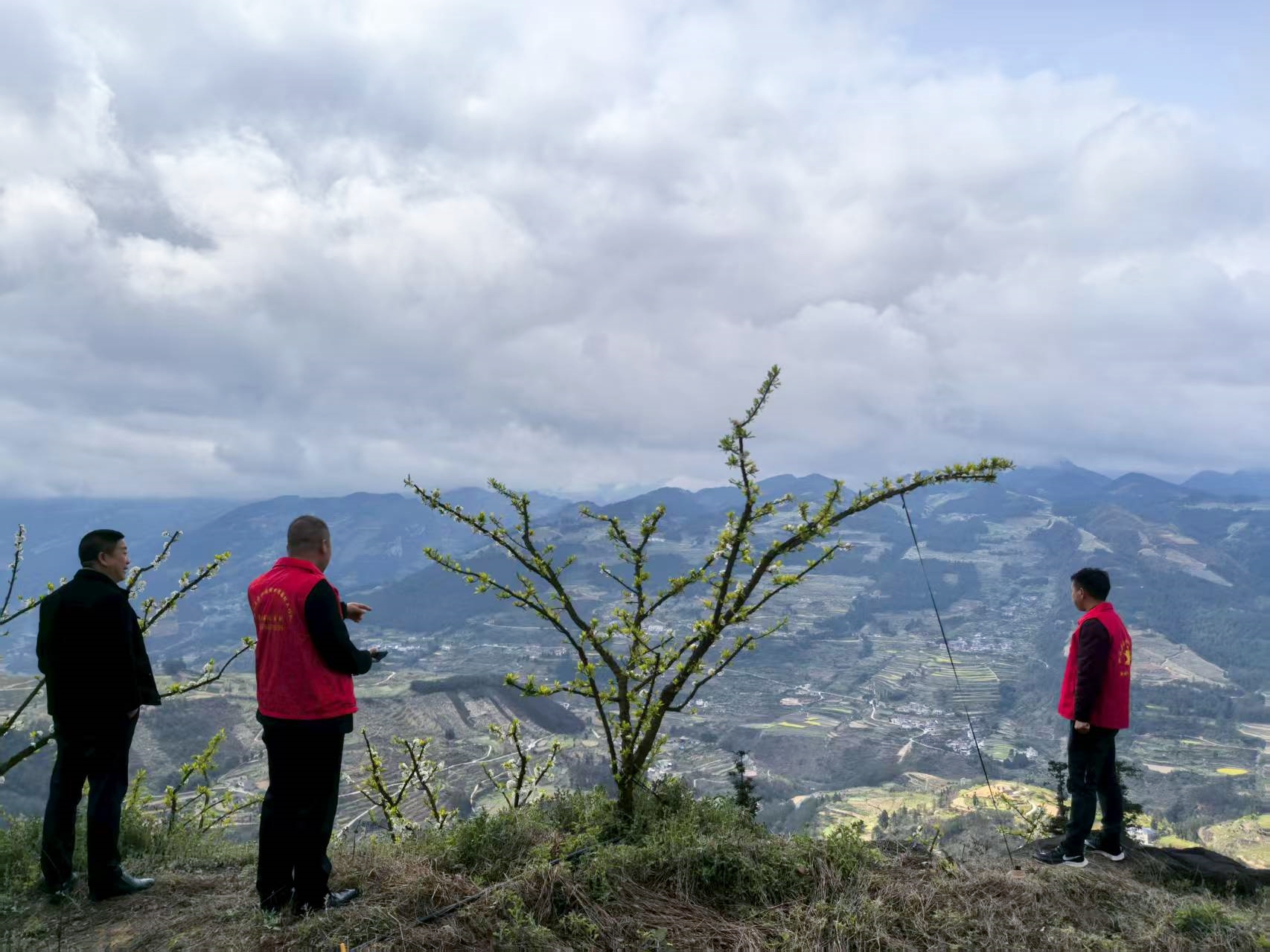 驻村书记陈利:乌蒙山下,用脚步丈量乡村振兴路(图12) 6762178cc6bc0ecf978697e255d17a8.jpg