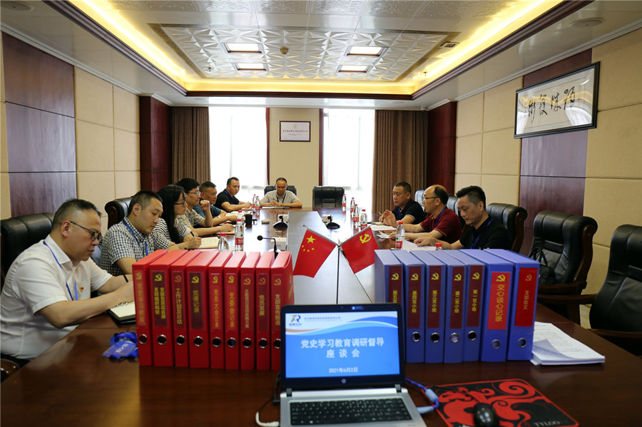 市委党史学习教育巡回指导组莅临四川融通安防集团调研督导党史学习教育(图4)